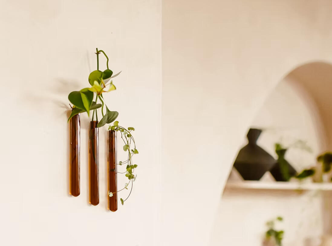 Wall Mounted mini vases